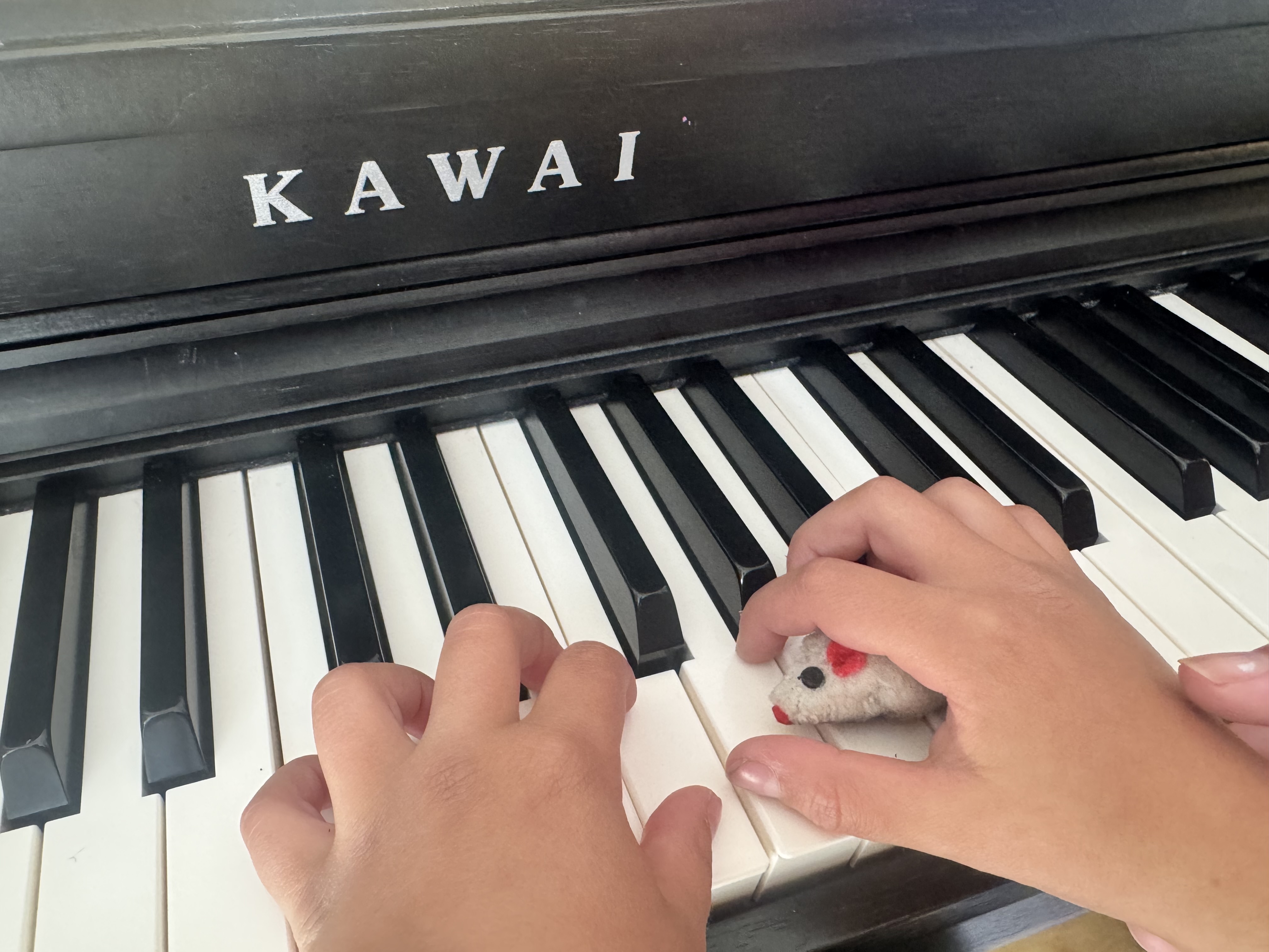 Piano lesson in Fiona's studio